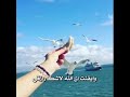 توكلت في رزقي على الله خالقي 