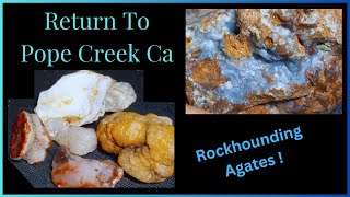 Gridding The Gravel Beds #rockhounding Pope Creek 2023  -  Se.7 Ep.22  - By : Quest For Details