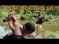 Probando NUEVOS Señuelos | Pesca De ORILLA