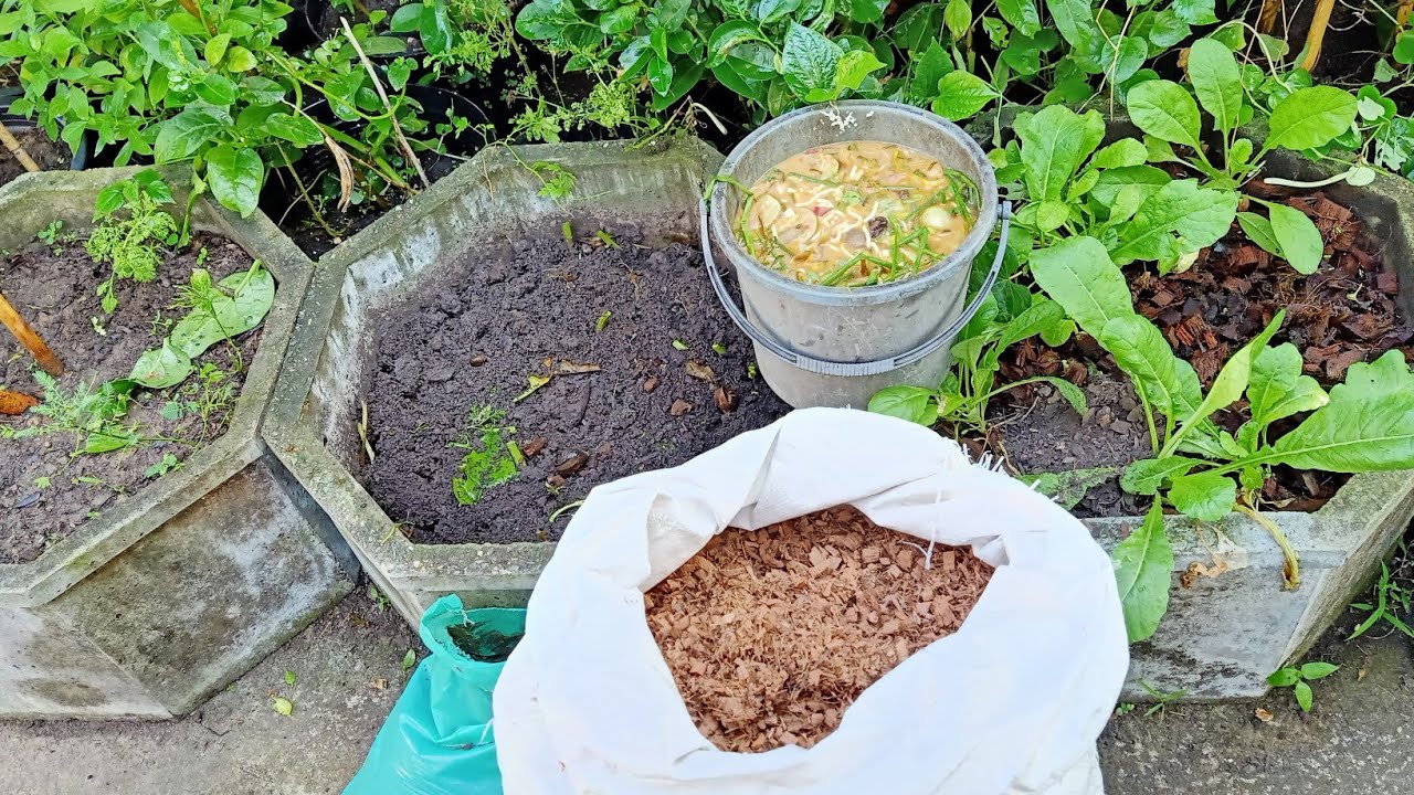 เตรียมหมักดินปลูกผัก Soil Composting - YouTube