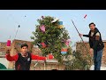 New Trick Caught kite With Trees 2022