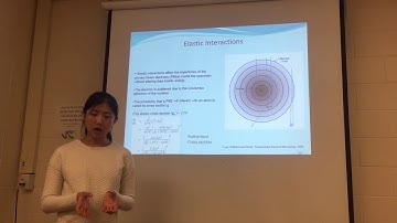 trim 1ABABAE5 FDE8 440D AFAD 393CEB5024D6