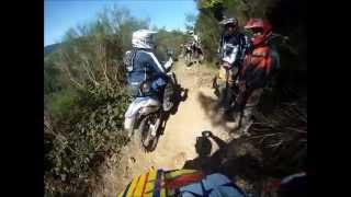 SAPINOISE 2014 3