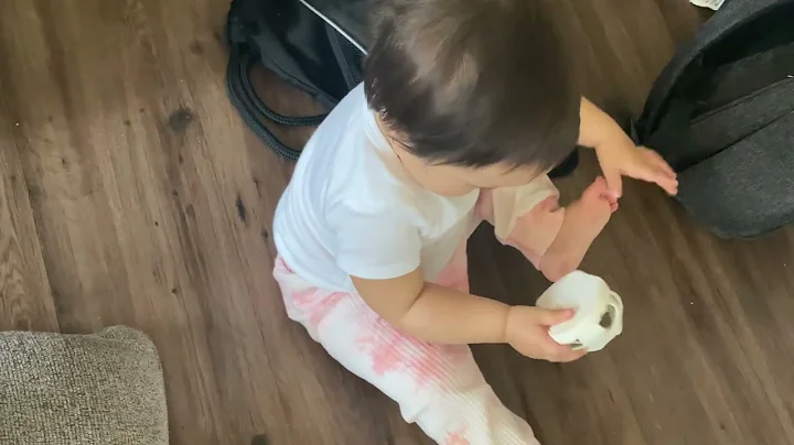 11 month old