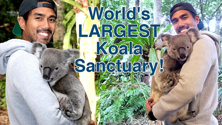 The MOST Aussie Thing We've Done So Far! | Brisban...
