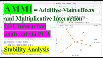 AMMI Analysis for G×E interaction and Stability analysis in R Studio
