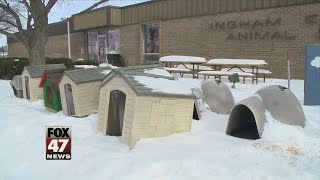 Local Animal Shelter Urges People to Report Pets Left Out in Cold
