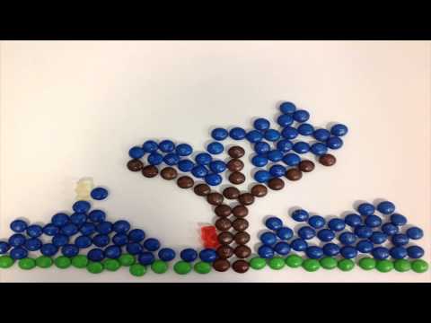 Sugar Notes - Candy Stop Motion Animation
