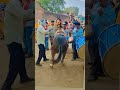 bullet ghoda dance