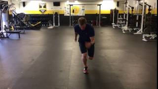 Single Leg Vertical Jump