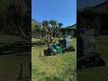 C’est l’été ☀️ Seriez-vous reconnaître l’arbre derrière le ZHR800 ? Dites-le nous en commentaire 👇