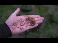 Blood Sucking Parasites How Many Shrimp Are INFECTED