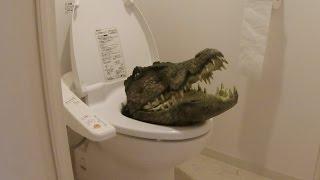 もし、家のトイレにワニがいたら？【ドッキリ】
