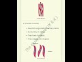 Biology || class 9 || chapter 1 || Questions and Answers || Tissue || End ||