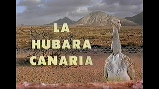 La Hubara Canaria