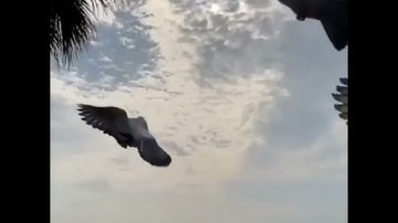 أذكار الصباح بصوت يريح القلب أسعد الله صباحكم وطابت جمعتكم