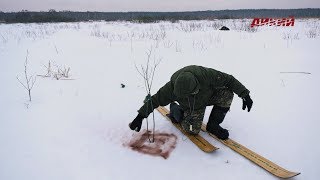 Звероловы. Добыча ондатры подо льдом. Часть 1.