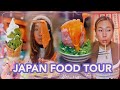 JAPAN FOOD TOUR 🇯🇵 (Sapporo must eats, soup curry, izakaya, sushi, chirashi bowl, seafood) vlog