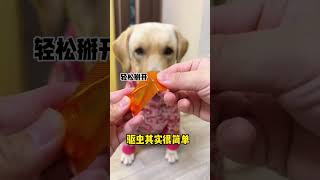 【旺仔很忙🐶】这狗子为了吃，能有多不要面子