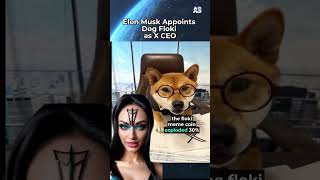 Elon Musk Appoints Dog Floki as X CEO