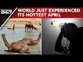 Heatwave News | What Climate Change Expert Said On April 2024 Being Hottest On Record