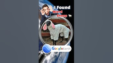 Wierd Sheep 🐑 on Google Earth 🌎 #googleearth #googlemaps #googlestreetview #streetview