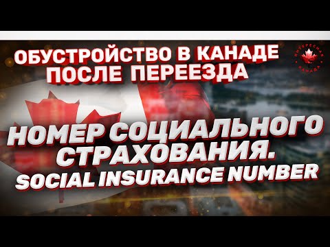 Номер социального страхования в Канаде SIN. Как оформить | Жизнь в Канаде