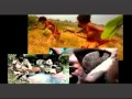 Mamu Wetu Udjila Flv 