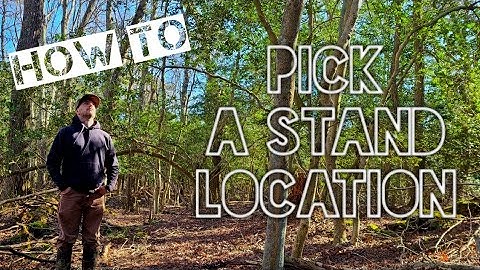 How To Pick A Treestand Location