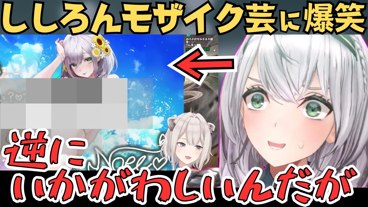 ししろんのモザイクやミオしゃのぼかしで逆にアウト寄りになるホロドリのノエル団長w【ホロライブ 切り抜き／白銀ノエル／獅白ぼたん／大神ミオ】