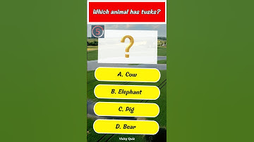 Animal Quiz game : Can You answer These Question ? #shorts #quiz #animal
