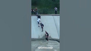 Giải cứu thành công chú chó bị kẹt trong dòng nước chảy siết! Dog rescue! #shorts #dog #trending