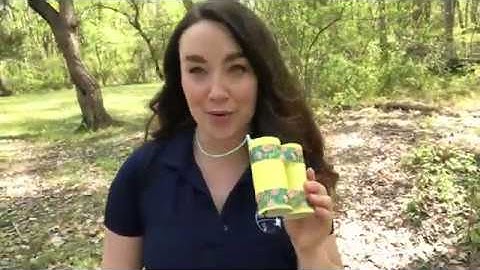 The Super Power of Observation: I Notice, I Wonder, It Reminds Me Of