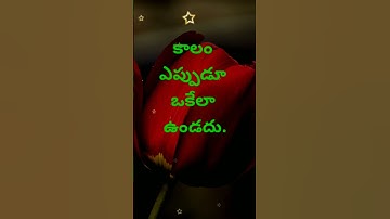Manchi matalu #1506 | neethi vakyalu | telugu sukthulu | jeevitha satyalu | top matalu | quotations
