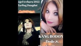 KANG BODONG (single terbaru 2022) _ DEDE .S. ( Kucing garong )