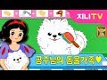 [지니TV] 공주님의 동물가족 | 강아지 고양이 예쁘게 꾸미기 | 유기동물 보호