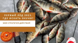 видео: Первый лёд. Где искать окуня? Моя стратегия действий. картинка: Первый лёд. Где искать окуня? Моя стратегия действий.