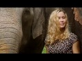 Elefanten baden und führen - Das Erlebnis in Thailand