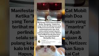 Behind The Innocence Of The Baby  interestingfacts trendingshorts