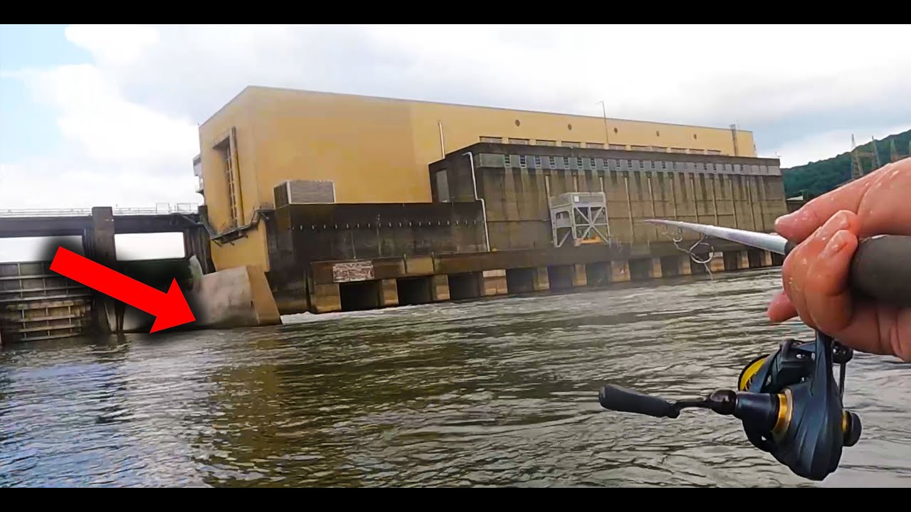 (CRAZY CATCH) A Fishing bait that catches Fish in SMOKING HOT weather