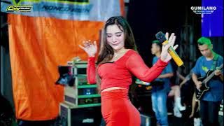 FULL ALBUM CNY MUSIC - KHITAN M. AZRIEL ZAINUL M - BULUNGAN PAKIS AJI JEPARA