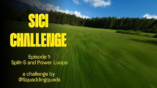 SICI (Smash It or Crash It) Challenge Episode 1: Split-S and Power Loops