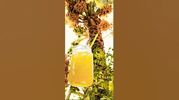 حسين الجسمي بلبطة 