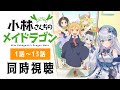【同時視聴】「小林さんちのメイドラゴン」1期全話1話～13話を一緒に見よう！アニメリアクション【水月りうむ/VTuber】