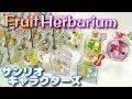 【食玩】Fruit Herbarium(フルーツハーバリウム)～サンリオキャラクターズ～【インテリアに最適】