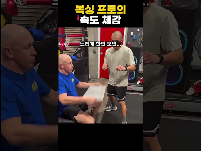 복싱 프로의 속도 체감