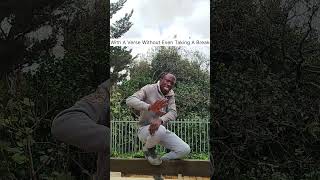Fwesh Tactic - Pinako