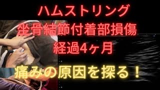 ハムストリング坐骨結節付着部損傷　痛みの原因を探る　経過4ヶ月