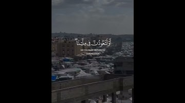 تلاوة هادئة تريح الأعصاب 😴🎧 القارئ: اسلام صبحى سوره: إبراهيم 💙❤