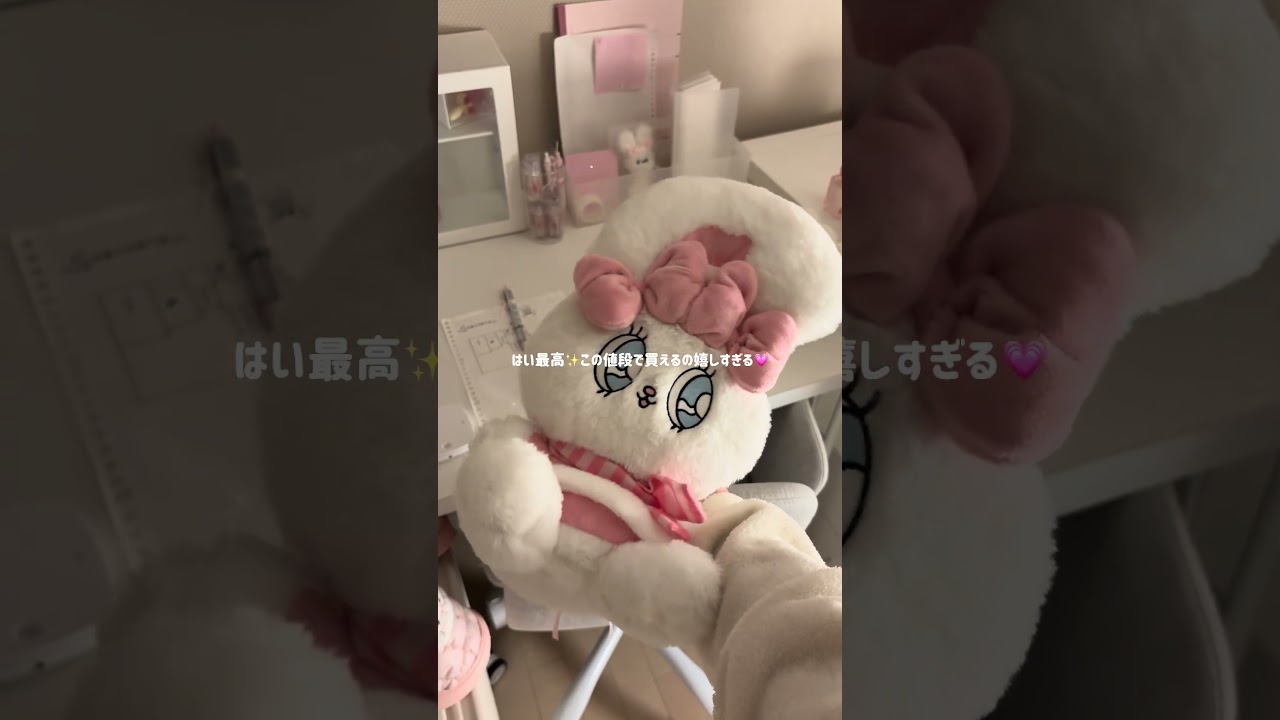 こんなに可愛いのにプチプラなの嬉しすぎる꒰ ᐡᴗ͈ ᴗ͈ ᐡ꒱🎀#アリエク#AliExpress#アリエク購入品#アリエクおすすめ